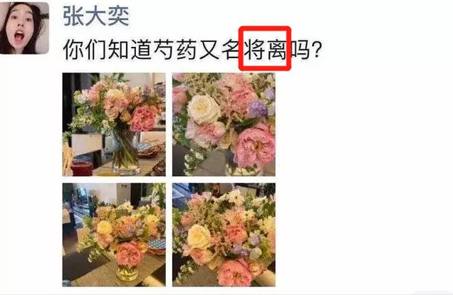 上位成功晋升新总裁夫人?张大奕不一定赢,但董花花离不离婚都输