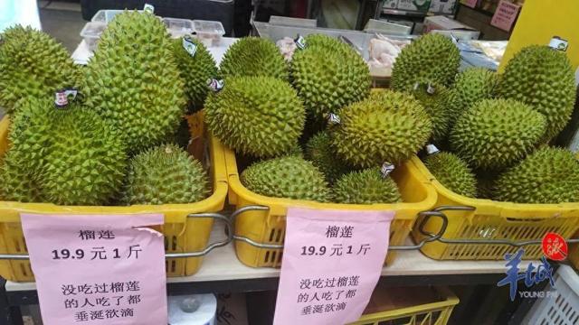 榴莲在家也能种?网上卖的榴莲苗真能结果吗?记者调查→