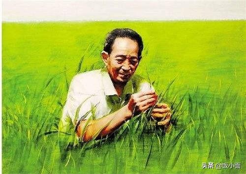“水稻之子”袁定阳:袁隆平衣钵唯一传人,媳妇遭爹“刁难”5年