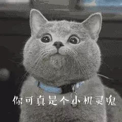 歪果仁说You're so yellow可不是“你好黄啊”！你可不要想歪了！