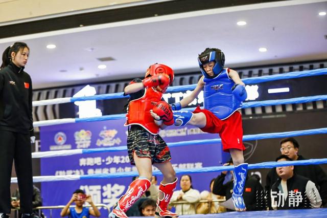 600名功夫少年以武会友,2024年第三届贵州省青少年武术散打俱乐部联赛圆满收官