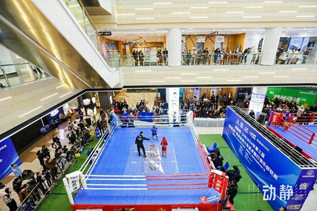 600名功夫少年以武会友,2024年第三届贵州省青少年武术散打俱乐部联赛圆满收官