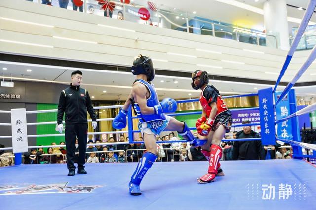 600名功夫少年以武会友,2024年第三届贵州省青少年武术散打俱乐部联赛圆满收官