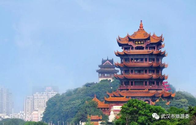 花开了!坐上这趟最美公交看武汉春天!