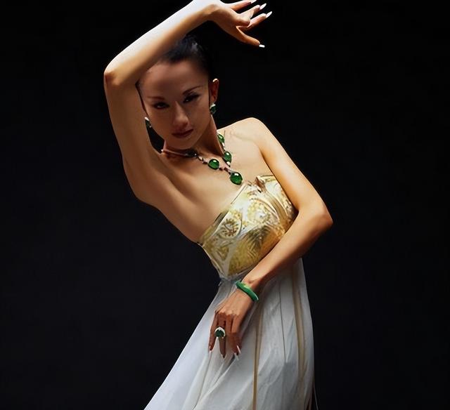 与杨丽萍离婚多年后,前夫刘淳晴毅然回到身边,无儿无女也无妨