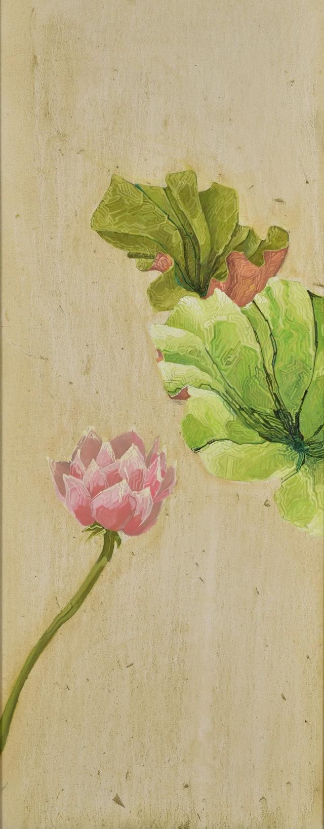 松江这里的一池荷花,美得如诗如画