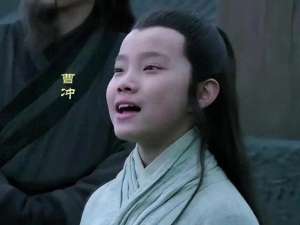 孙盛(曹冲称象，世人都夸他聪明，司马懿：其实他是蠢到了家)