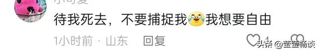 没文化真可怕!央妈说的中微子被谣传“阿飘”,不要再以讹传讹了