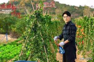 二叔演员表(温暖的味道：剧中三位老戏骨都有观众缘，却被女主的尬演拖了后腿)