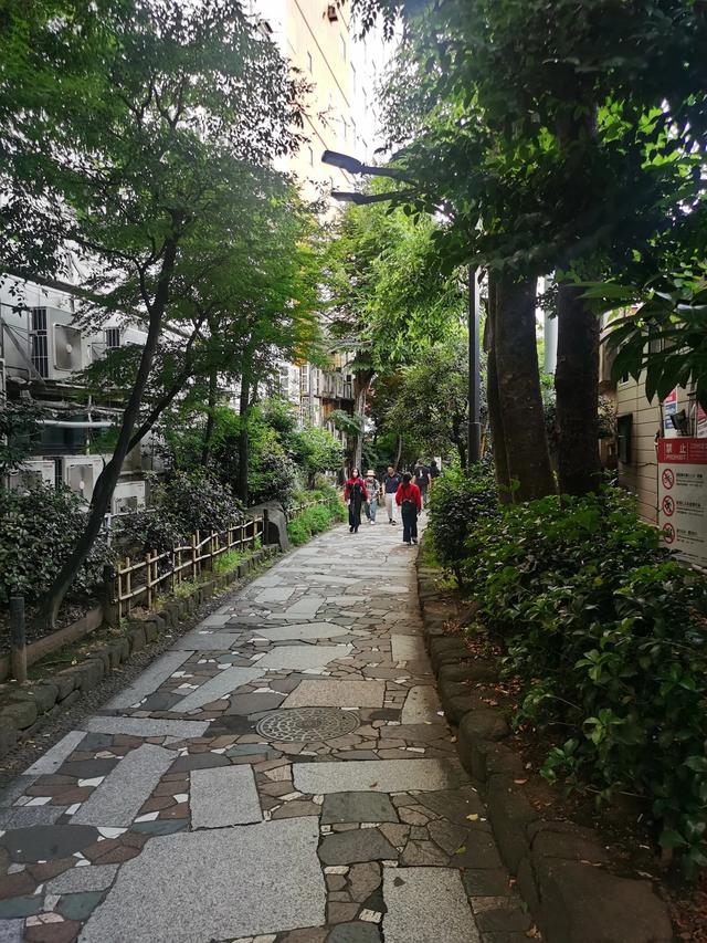 日本自由行游记57:D12-东京新宿逛街