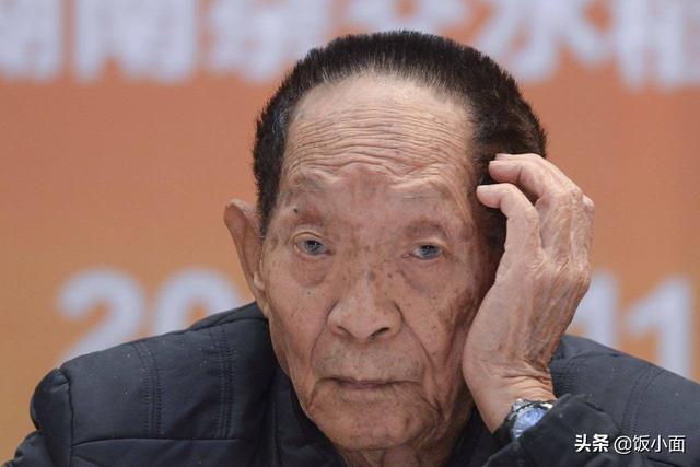 “水稻之子”袁定阳:袁隆平衣钵唯一传人,媳妇遭爹“刁难”5年