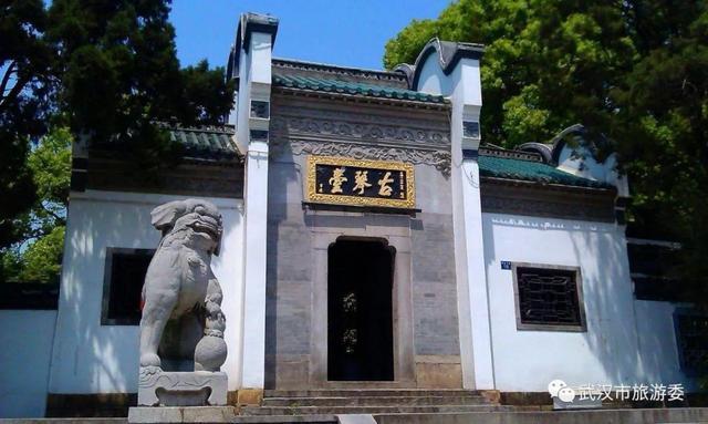 花开了!坐上这趟最美公交看武汉春天!