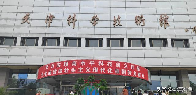 剪秋(三):爱就是唤醒