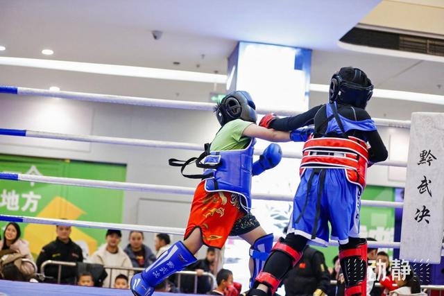 600名功夫少年以武会友,2024年第三届贵州省青少年武术散打俱乐部联赛圆满收官