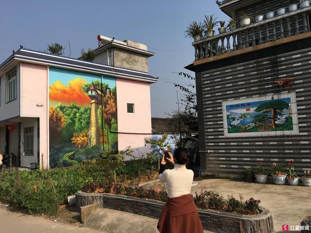宛如童话!蓝精灵、龙猫“进村”啦,眉山这个3D漫画村乖惨了