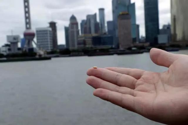 价值23万的黄金做成米粒全部扔了…网友质疑:用浪费制止浪费?艺术家回应