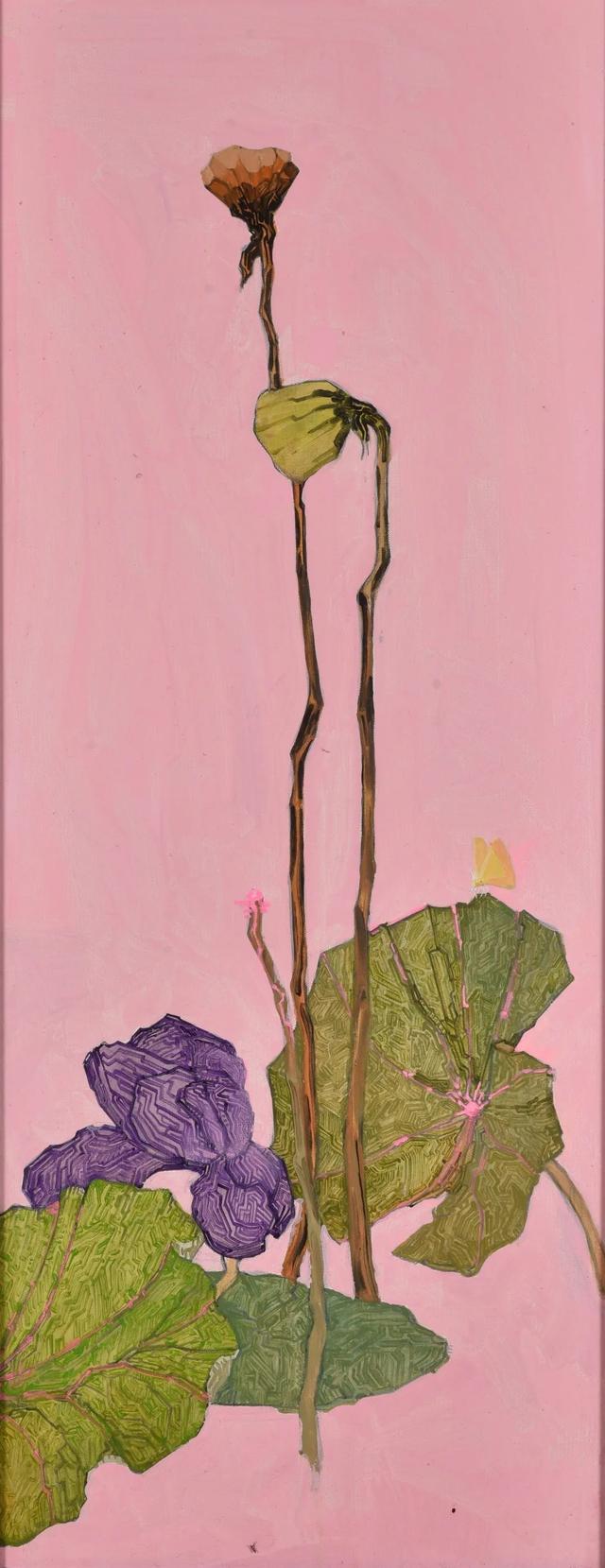 松江这里的一池荷花,美得如诗如画