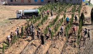 隋蕾(长岛砣矶镇：用心解决群众急难愁盼问题)