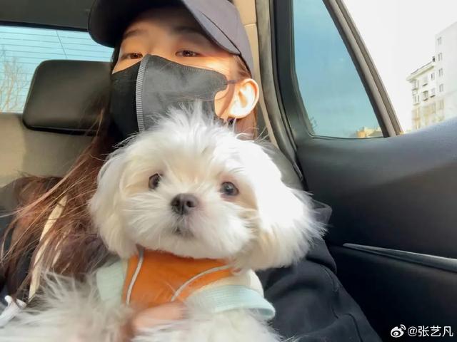 爆出张艺凡和范世琦同居，细数范世琦的历届女友，可惜美女张艺凡