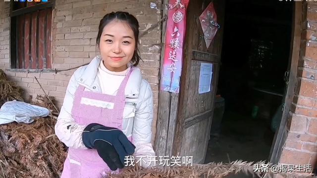 小乔自驾游偶遇单亲小妈妈,配合默契被网友期待后续