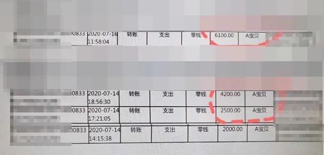 13岁“学霸”一个月偷刷老爸微信9万元,居然买了一堆草