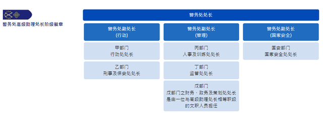 香港警队警务处助理处长、港岛总区指挥官,是什么级别呢?