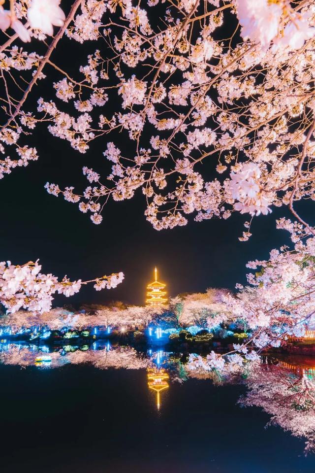 花开了!坐上这趟最美公交看武汉春天!