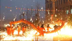 姚杨(播州苟江镇：舞龙舞狮闹新春)