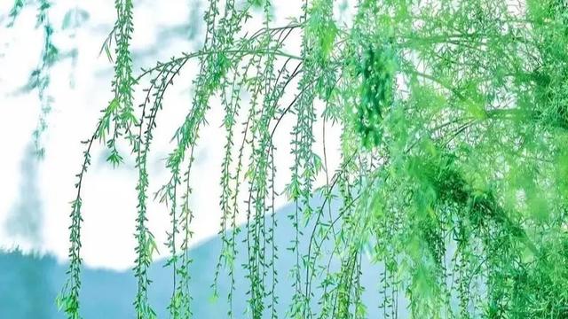 命运之手:人生既有定数,也有变数,别不信