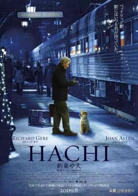 狗狗十大感动电影(关于狗狗的8部感人电影，每一部都戳中泪点)