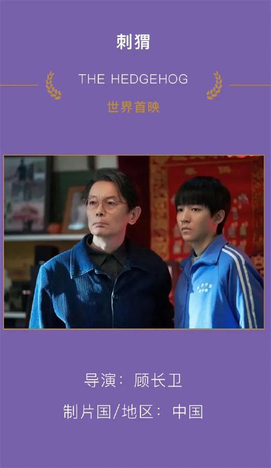 400+部电影怎么选?2024上影节看这20部就对了