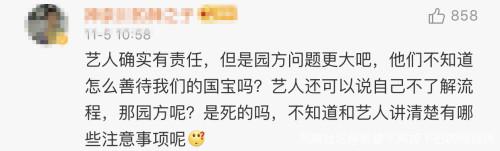 韩国女团BLACKPINK不戴口罩手套摸熊猫,中国网友怒了