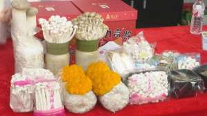 女主播夏娃 福利(韶关山珍直播周启动多位达人直播带货送优惠)