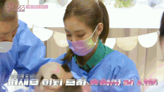 韩国女团BLACKPINK不戴口罩手套摸熊猫,中国网友怒了