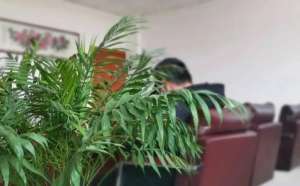 我于女主播的那些事(没禁住诱惑半夜与女主播“裸聊” 浙江嘉兴一小伙被骗走8万存款)