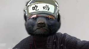 女主播蜜罐在线(和平精英：蜜獾终于要露脸了挑战不捡子弹吃鸡，你试过吗？)