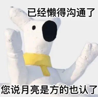 女主播阿沐沐的“200万条件”:笑点背后的现实与清醒