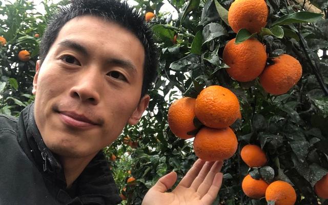 “脸越肮脏,眼神越是发光”,离开船厂到农村带货的网红任海龙,粉丝数日益减少:凉了就凉了