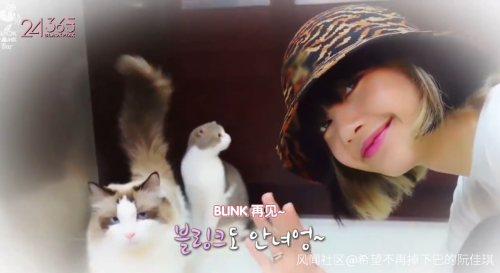 韩国女团BLACKPINK不戴口罩手套摸熊猫,中国网友怒了