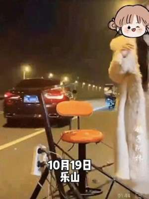 女主播在孩子面前(​女主播凌晨路边直播，被宝马车蓄意冲撞司机暴怒原因查明)