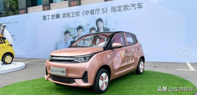 避坑!2025年九大新能源品牌或将面临倒闭,Deepseek揭秘背后原因
