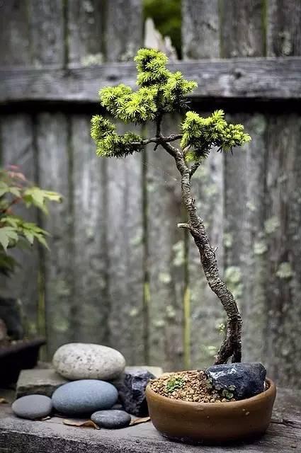 夜读｜芒种“忙种”，勿负光阴！