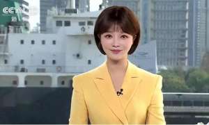 央视美女主播蝴蝶(央视主播胡蝶：与陆川闪婚，独自产检，长期分居，7 年后怎么样了)