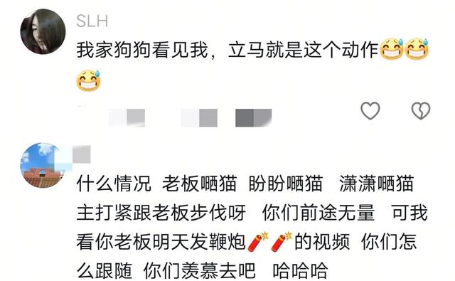 董宇辉晒宠物拜年上热搜,团队举动看出凝聚力,网友评论引热议