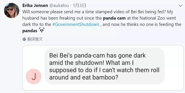 美国政府关门,“直播熊猫”画面被掐!美国网友炸锅:你们把我惹毛了