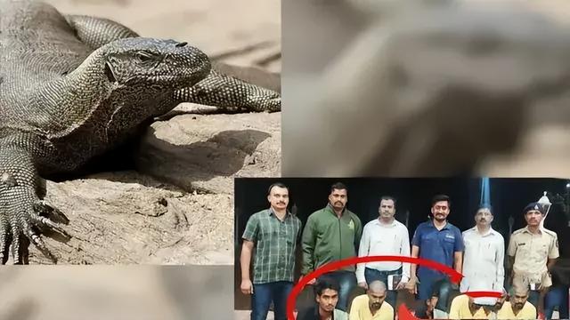 毁三观!韩国女主播到印度旅游被男子尾随露私处,评论区相当炸裂