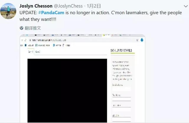 美国政府关门,“直播熊猫”画面被掐!美国网友炸锅:你们把我惹毛了
