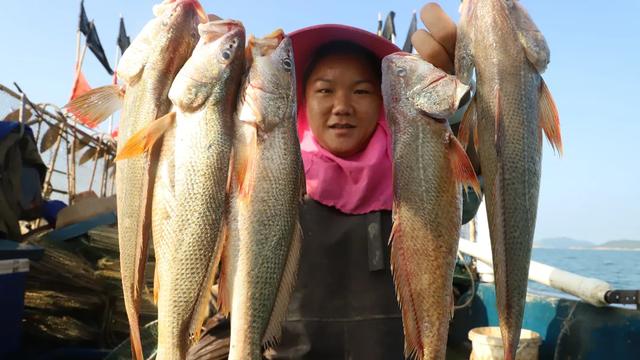她辞职后在抖音直播赶海,两年获400万网友关注月销百万海鲜