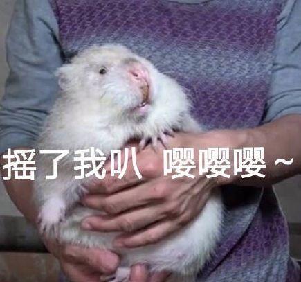 成都小伙99元都要上交给老婆?就算当“耙耳朵”,我也想留在成都!