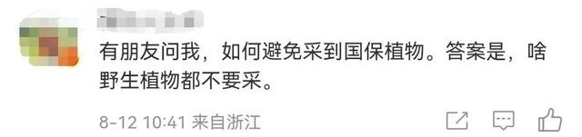 网红主播采摘“雪莲花”还拍视频炫耀?当地回应